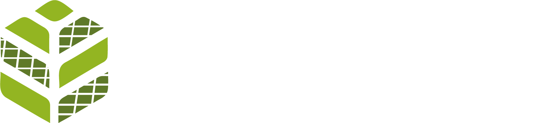 riodeco.com.ar